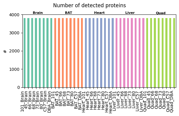 ../_images/tutorials_bludau-2021_tissue-specific-proteoform-inference-across-five-mouse-organs_28_1.png