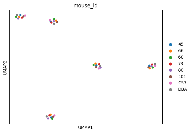 ../_images/tutorials_bludau-2021_tissue-specific-proteoform-inference-across-five-mouse-organs_40_2.png